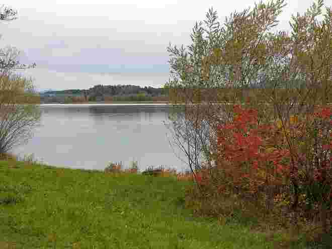 Herbst am Wallersee
