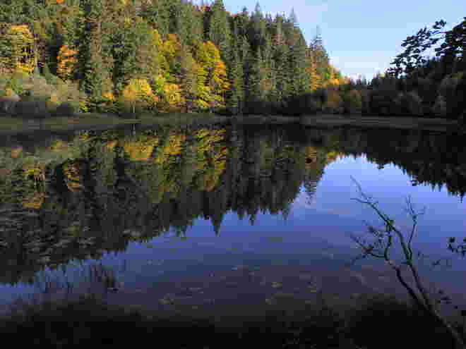 Herbststimmung