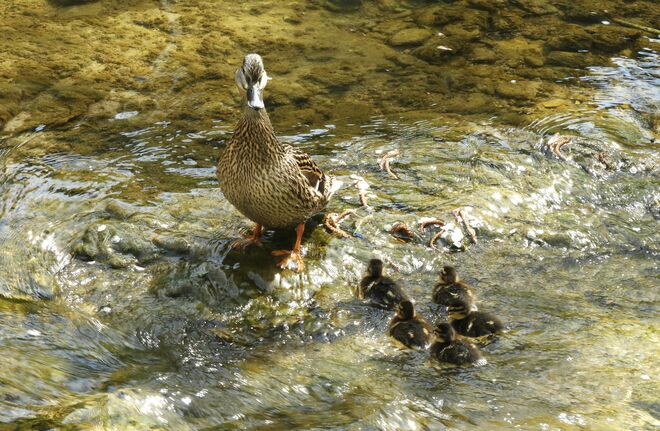 Und jetzt zu zweit in einer Reihe 
