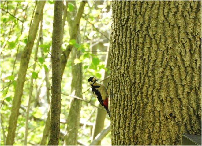 Von Weitem sichtbar!