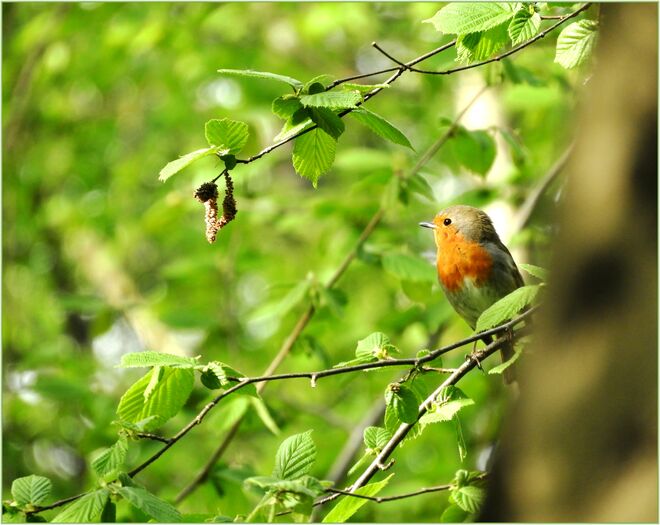 Die letzten Sonnenstrahlen genießen