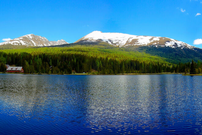 Weiße Berge, grüner Wald, glitzerndes Wasser