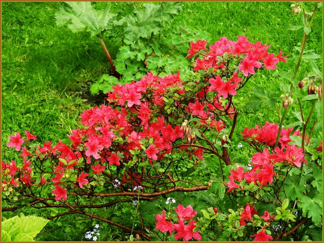 Erfreulicher Farbkleks im Regen 