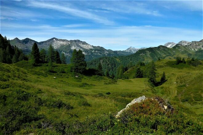 Twengeralm - noch saftig grün