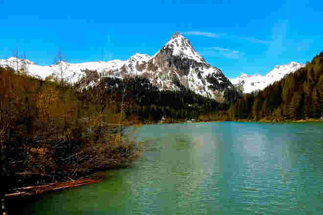 Berg-Maifrühling