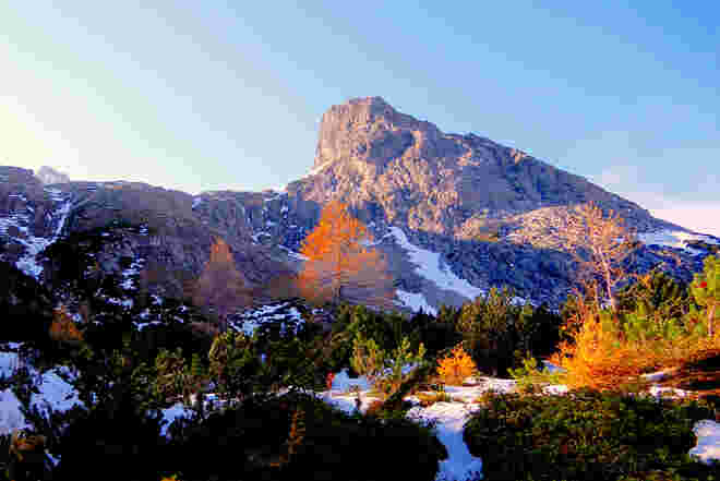 Frühwinter im Latschengürtel