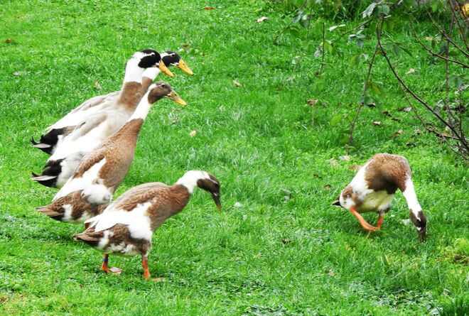 "Was hast den gefunden?"