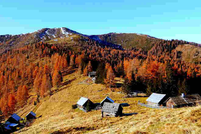 Pirkeggalmen im Herbst ...