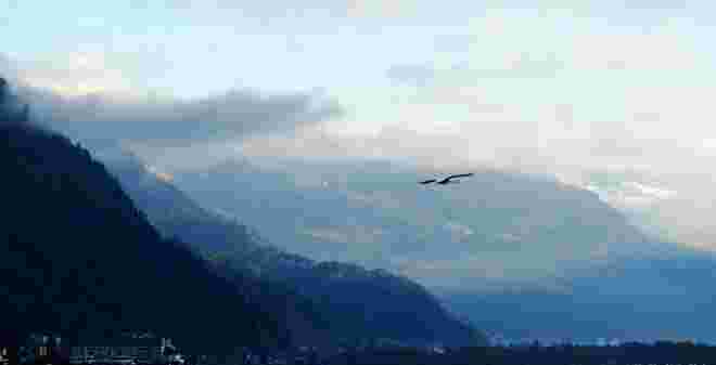 Schwanenflug