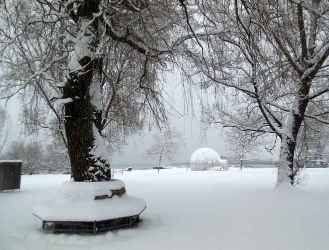Eine wunderbare Schneepracht  heute beim Strandbad Seekirchen 