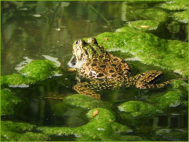 Der Prinz zeigt mir den Rücken