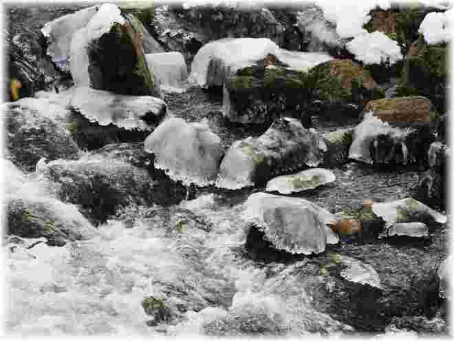 Der Alterbach 