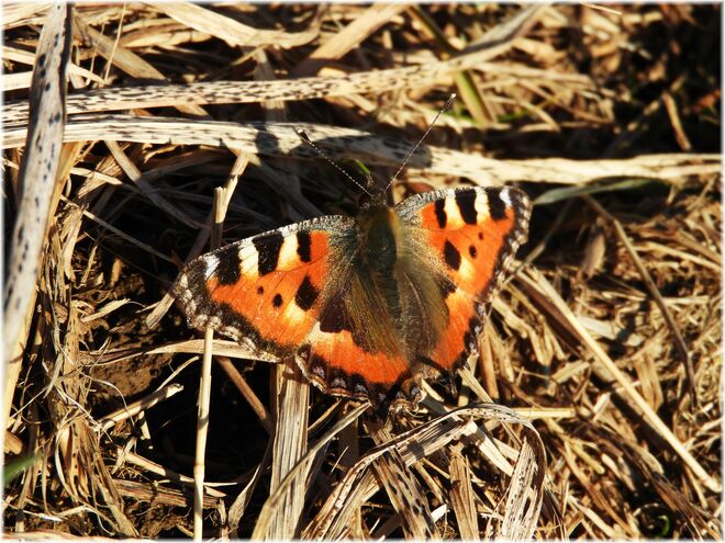 Aufwärmen in der Sonne