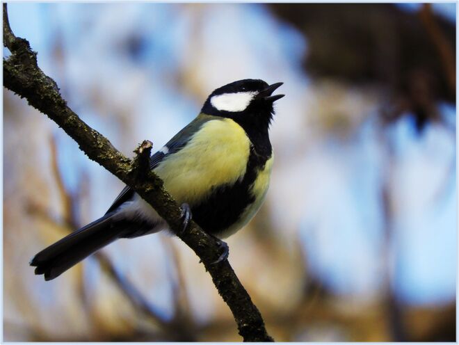 Ansingen in der Sonne