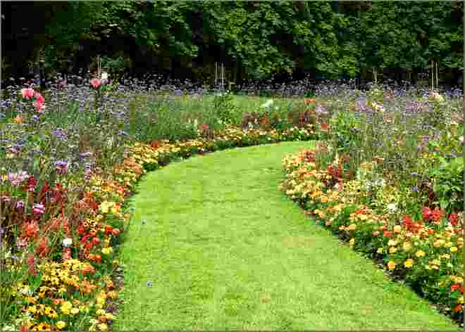 Schmetterlings-Paradies