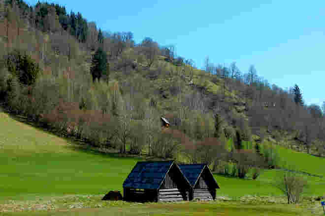Zwillinge