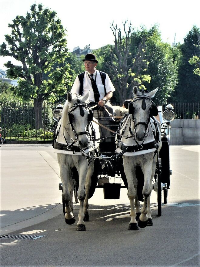 Ein schönes Wiener Klischee