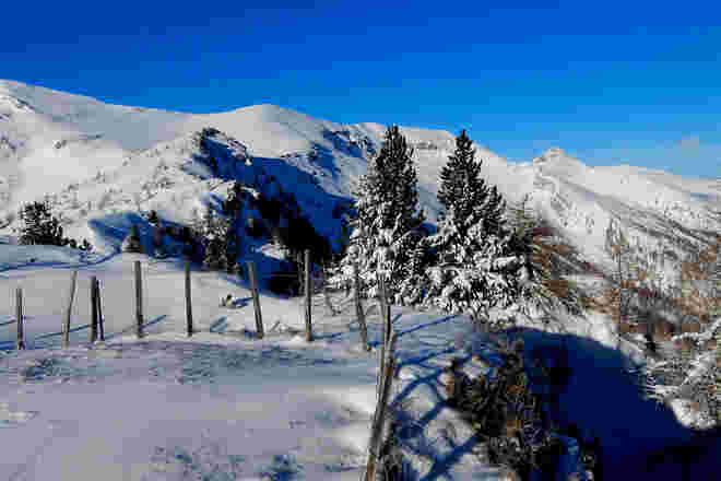 Blick ins Gamsrevier