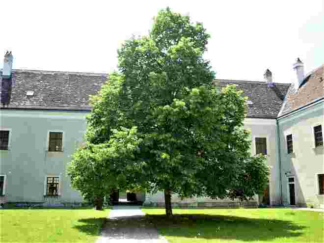 Kartause Mauerbach