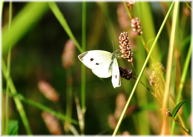 Lange sind sie nicht mehr da ! 