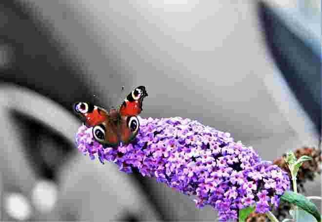 Abflug 