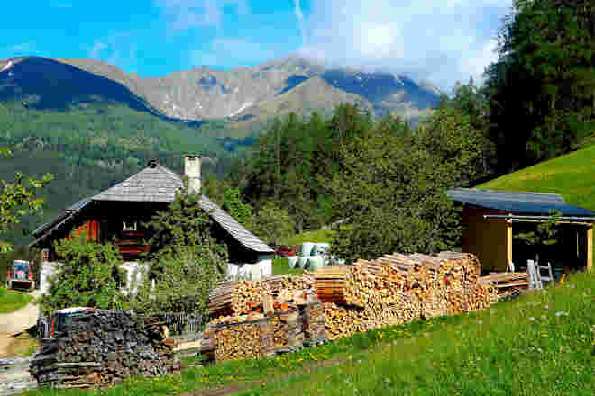 Holz als zweites Standbein