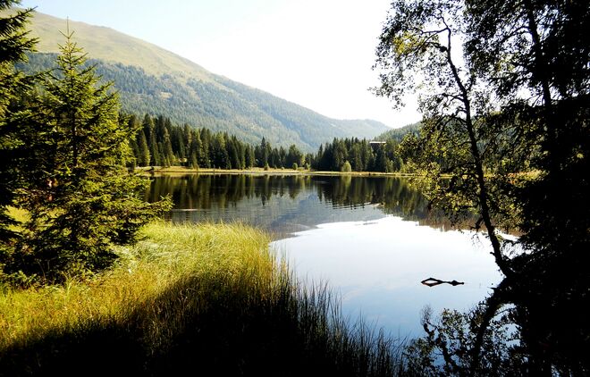 Morgenidylle am Prebeersee