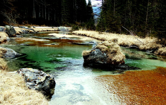 Die sanfte Longa im Farbenzauber