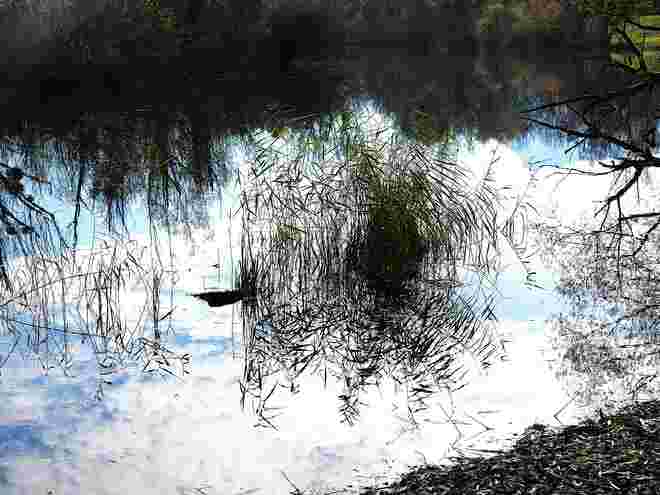 Spiegelung