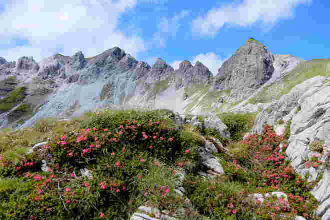 Bergsommer 