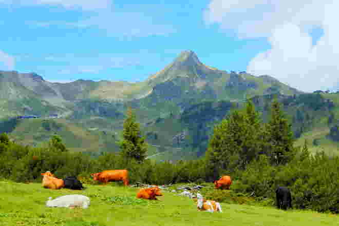 Almsommer in Obertauern