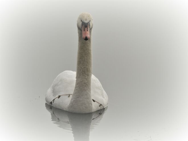 ... mit Frühlingskranz ...