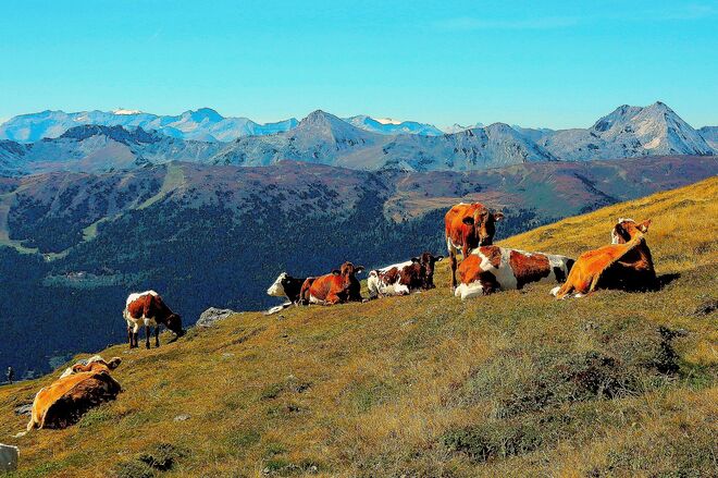 Noch dürfe sie die Herbstsonne genießen
