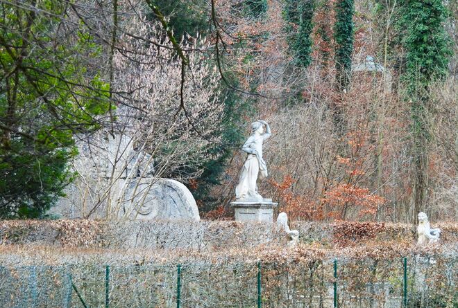 Den Frühling schon erblickt?