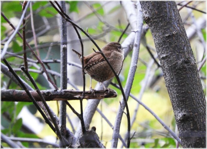 Die Lage überprüfen