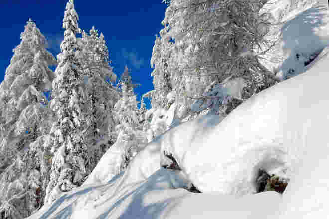 Neuschnee-Pulver