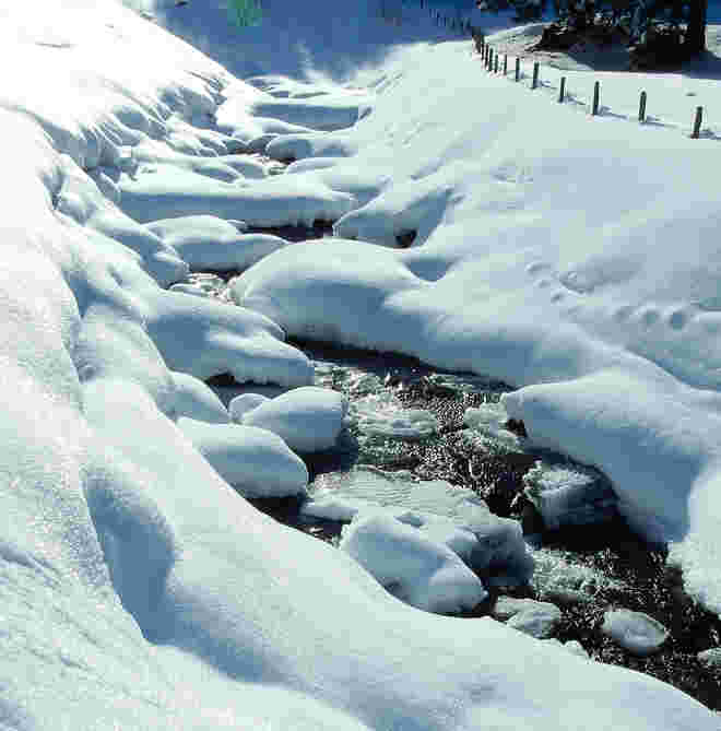 Winterlicher Almbach 