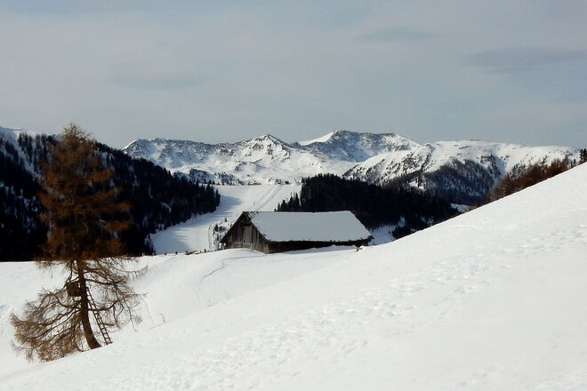 Schlichte Schönheit