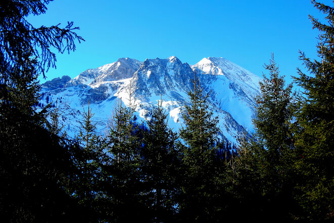 Grau-weiße Felsen über grünen Wipfeln