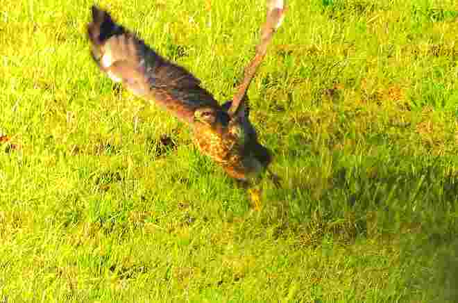 Abflug