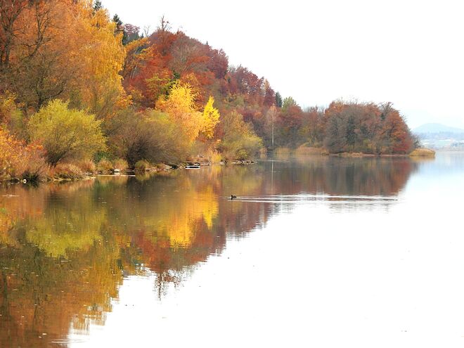 Etwas später dann freundlicher