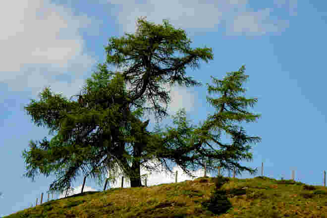 Unverwechselbar