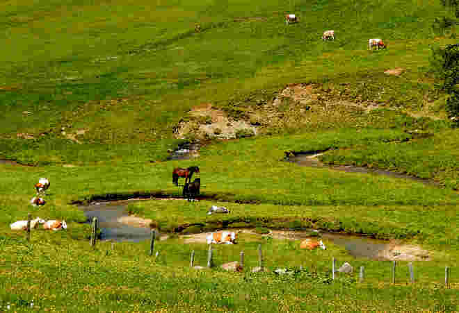 Am Schönfeld Mäander