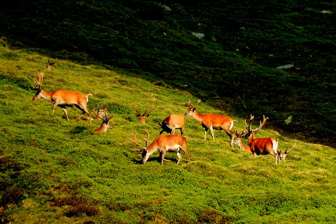 Entspannte Seniorenrunde