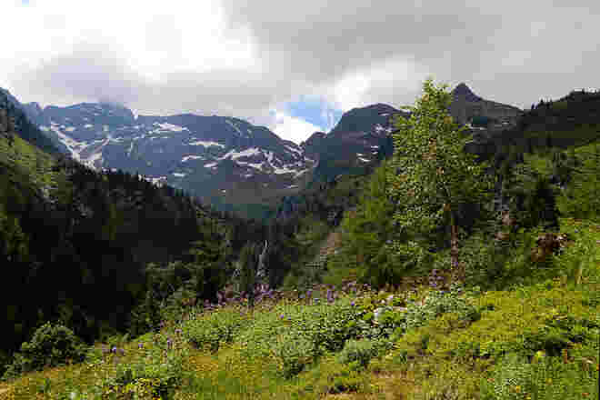 Nordseite deer Hochwildstelle
