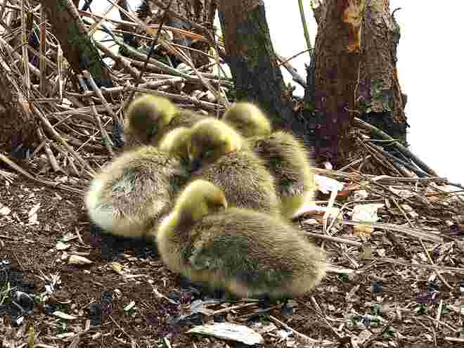 Kuscheln!