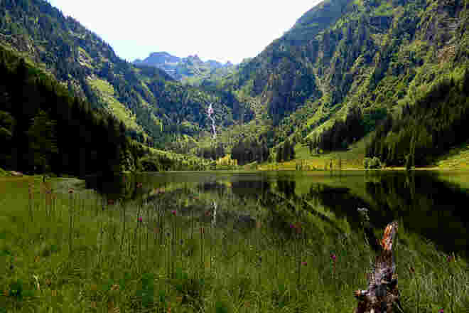 Grünschattierungen