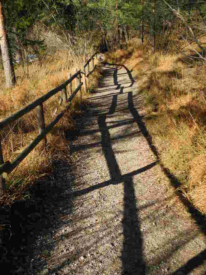 Schattenspiele