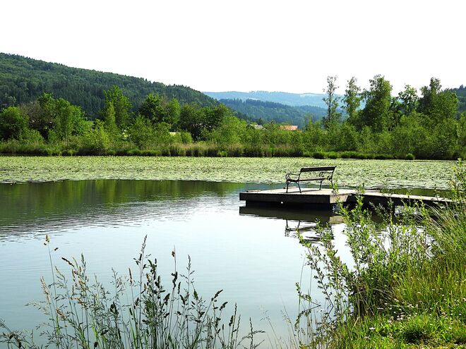 Der Sighartsteiner Weiher 