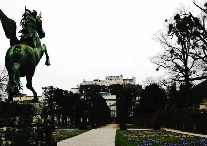 Farbe im Mirabellgarten - 3